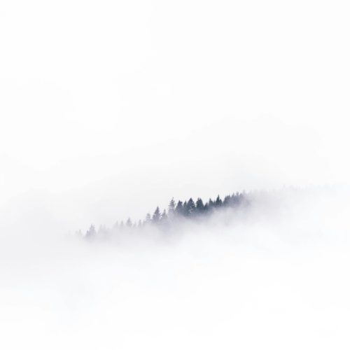 mads_schmidt_rasmussen_6YmzwamGzCg_unsplash